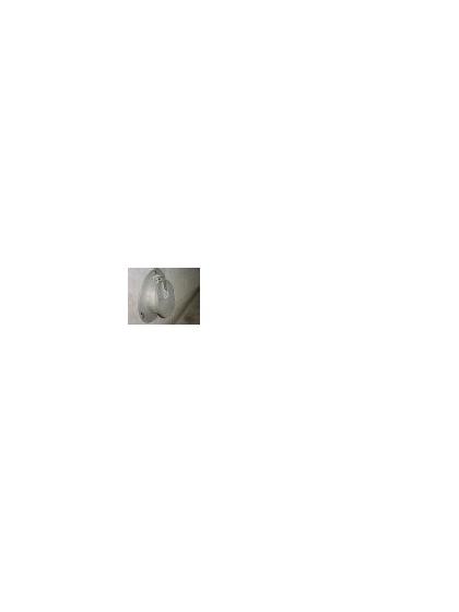 FLAP VALVE (LIGHT)