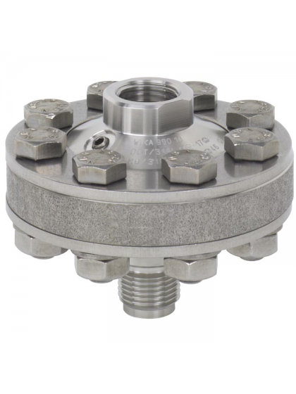 Model 990.10 Diaphragm seal with threaded connection