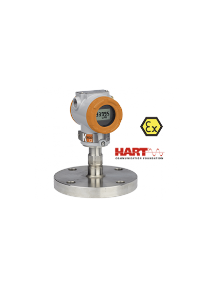 PRESSURE TRANSMITTER WITH DIAPHRAGM SEAL PAS-...N